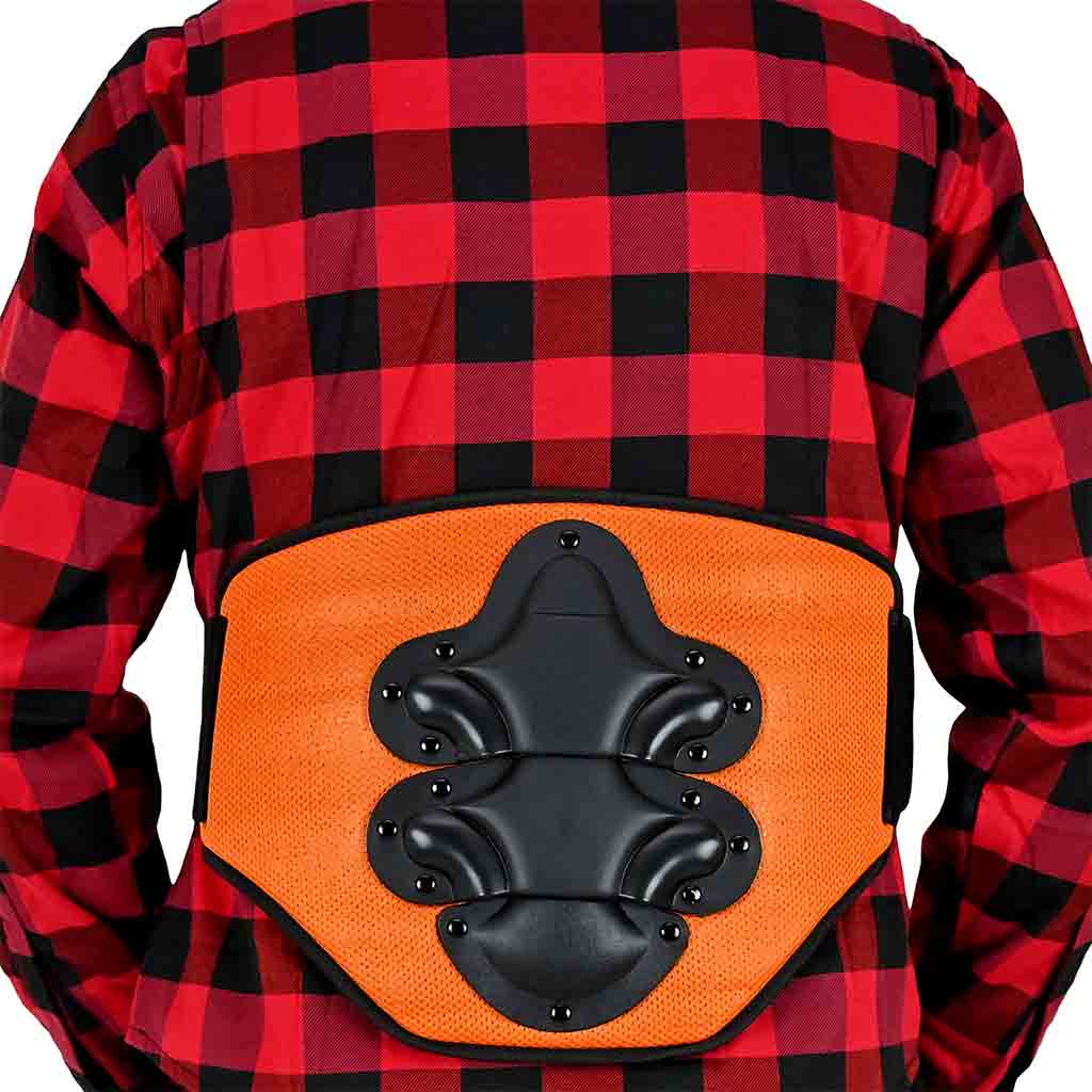 Motorcycle kidney protection