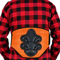 Motorcycle kidney protection